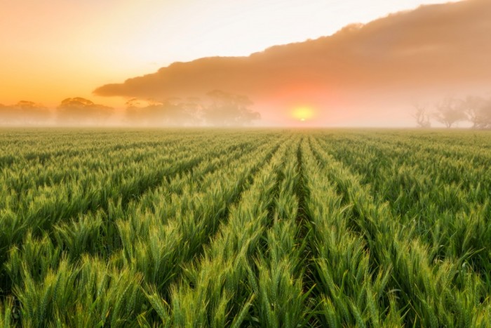 Third Party Products