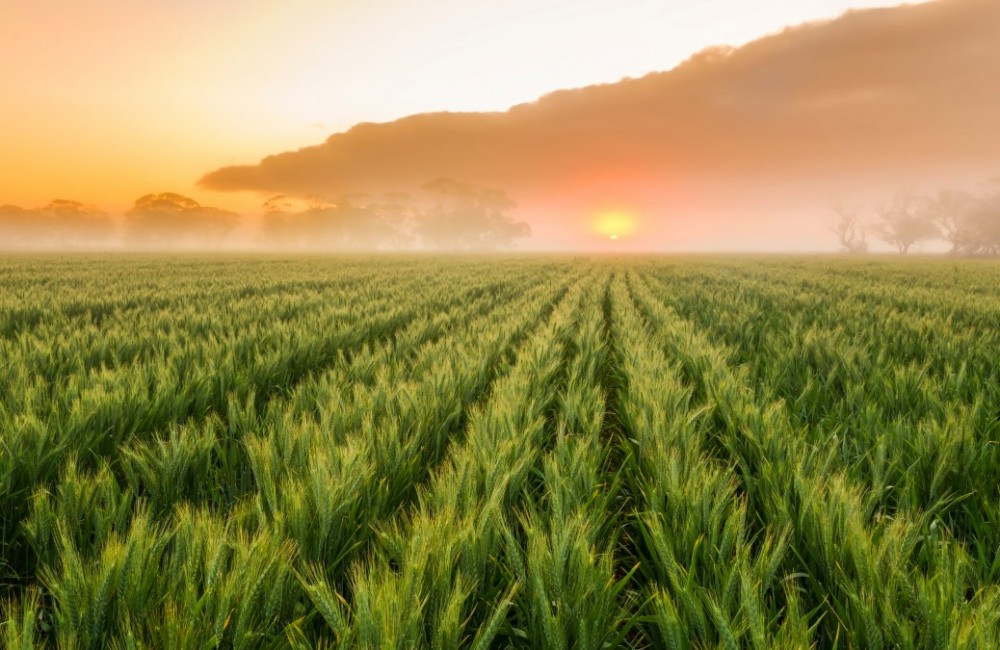 Third Party Products